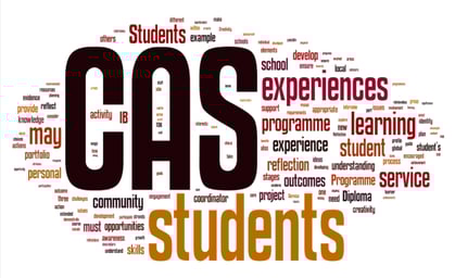 Top US Universities IB Recognition 2026 Guide