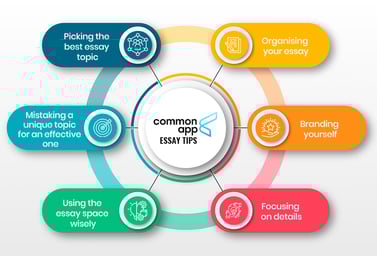 Common App Essay Tips for IB Students