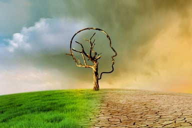 IB ESS Winter Break Revision Strategy 2026