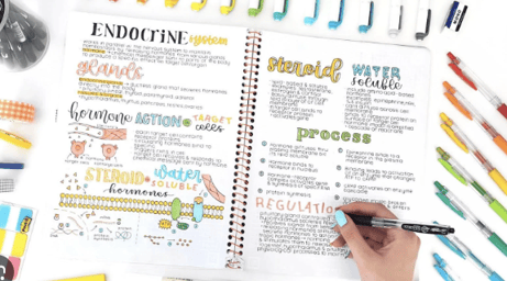 How to Take Effective IB Notes