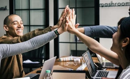 Complete Guide to IB Exam Resources & Tools