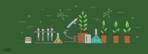 Complete Guide to the IB Biology IA: Tips & Ideas