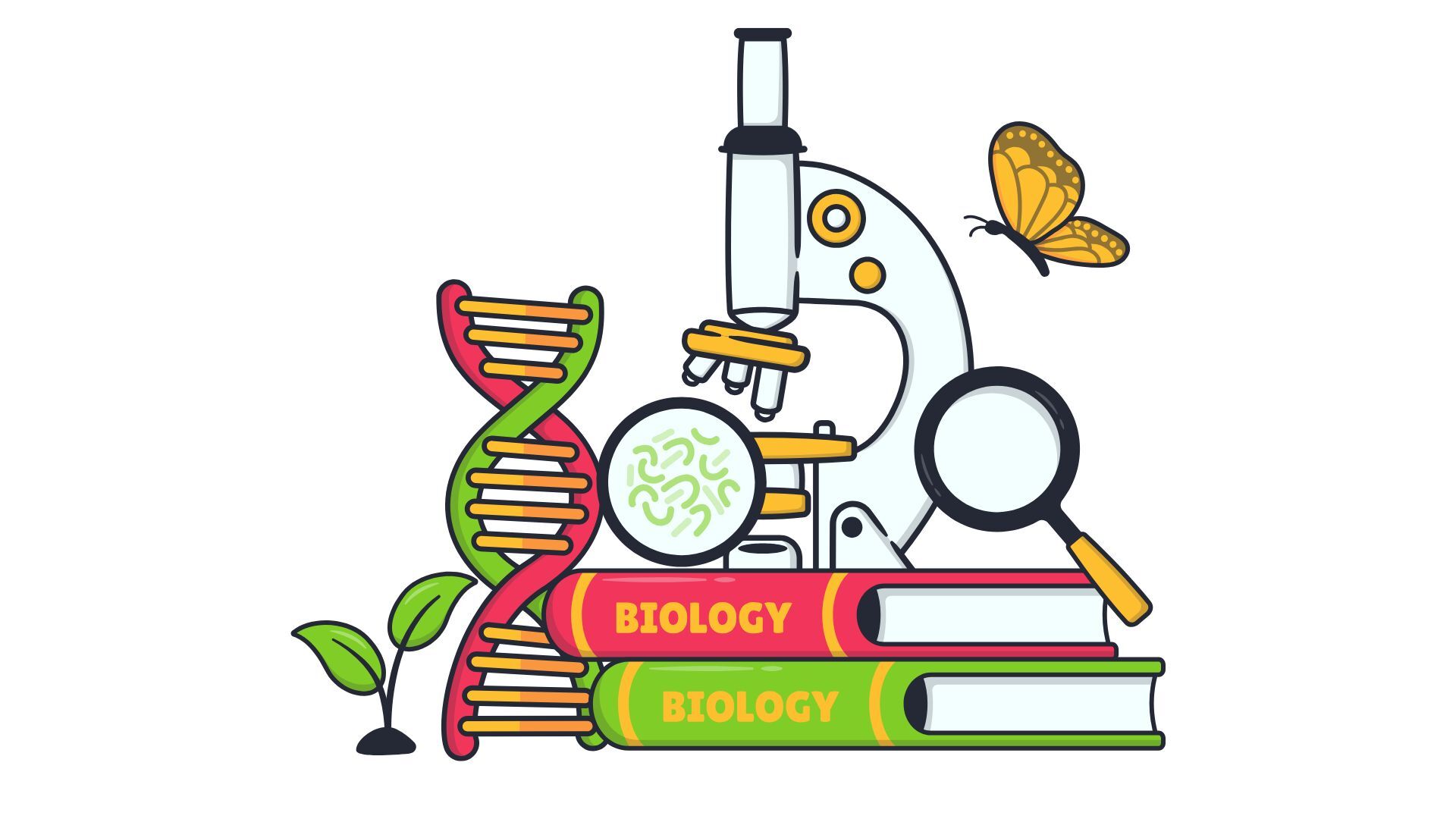IB Biology: The Ultimate Study Guide
