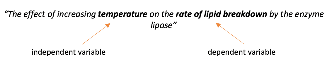 Science IA research question