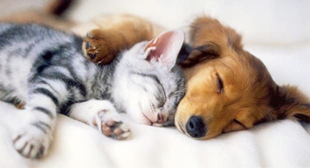 How to Plan Your IB Revision Schedule & Avoid Burnout