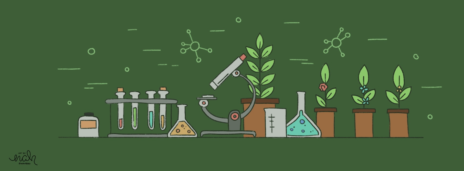 Complete Guide to the IB Biology IA: Tips & Ideas